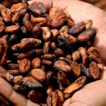 Vyrobiť kakao je podľa Naty hotová veda
